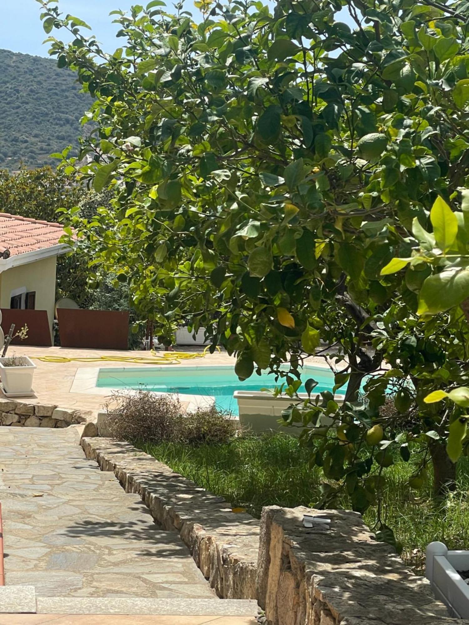 Sa Murta Bianca Guesthouse Будони Экстерьер фото